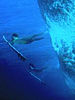 Surfin.jpg