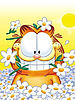 Garfield.jpg